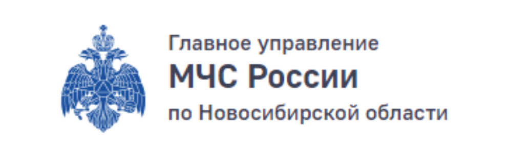 МЧСНСО